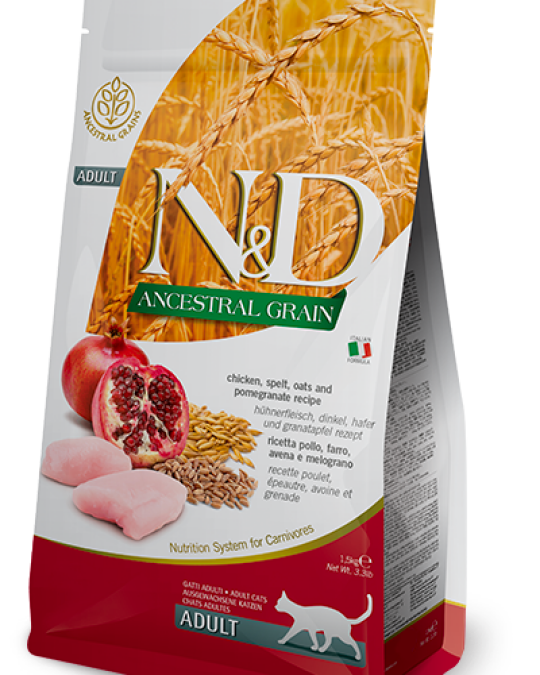 Image of N&D CAT - Low Grain CHICKEN & POMEGRANATE ADULT